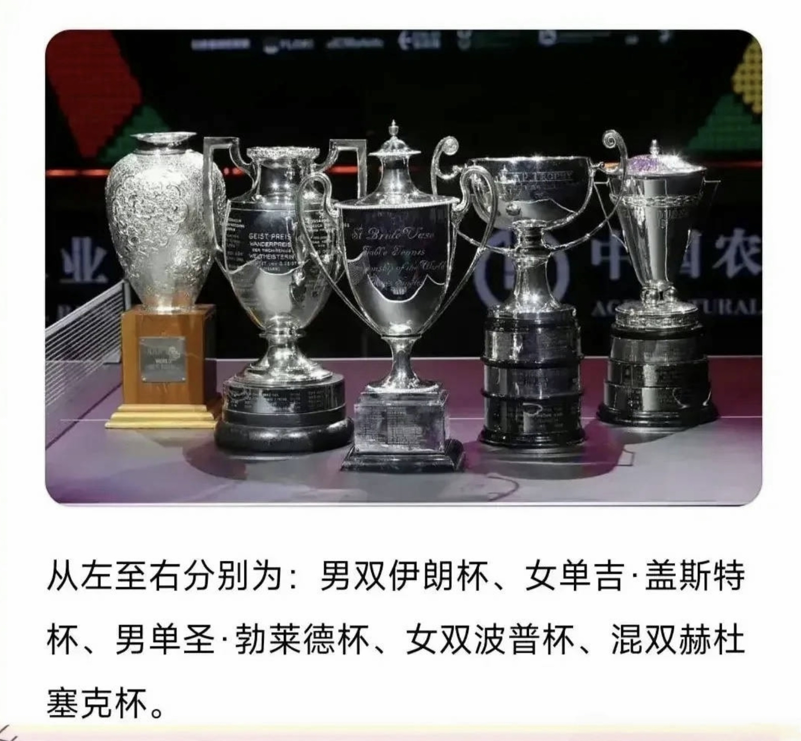 必威体育登录-奖杯杯身刻有13种语言和盲文，体现包容性精神